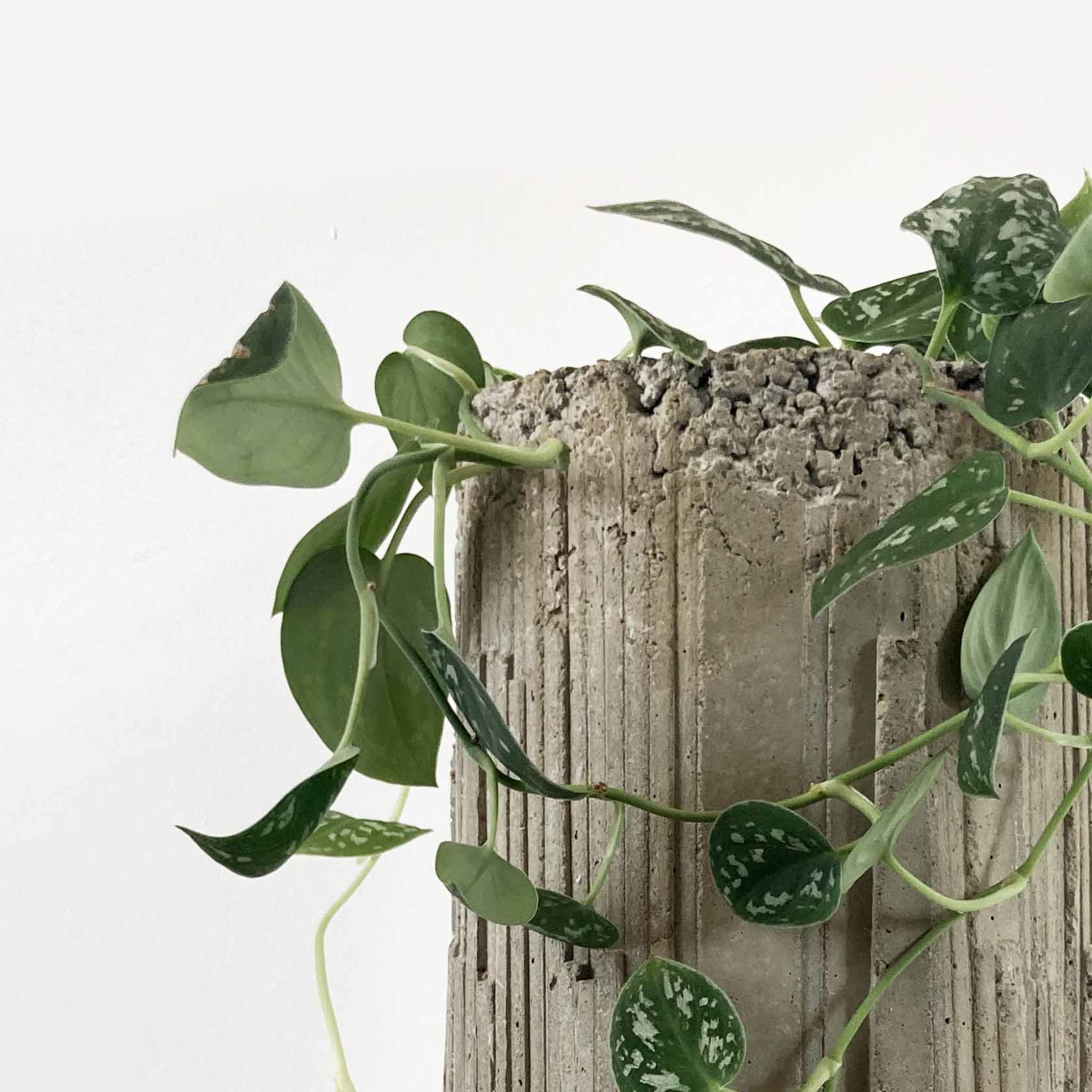 concrete-vase-no5-8