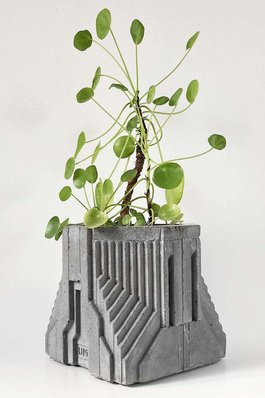 Planter no.1