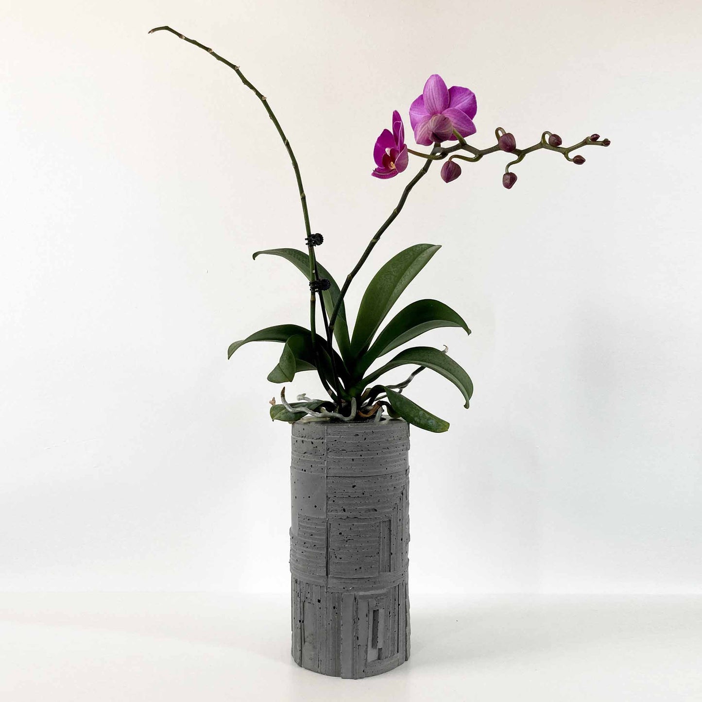 Vase no.1